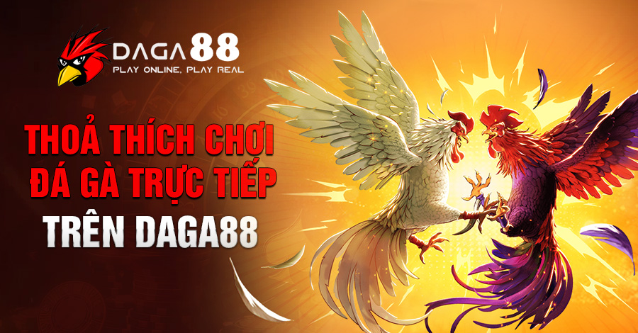 Thoả thích chơi đá gà trực tiếp trên Daga88